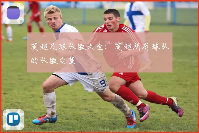 英超足球队徽大全:英超所有球队的队徽合集