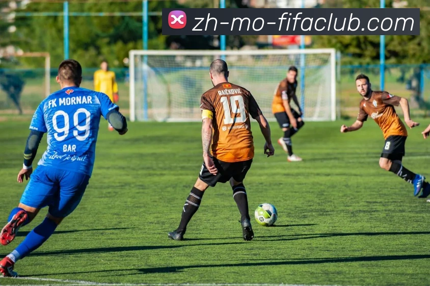 火箭队2005年球员名单回顾及球队变化解析